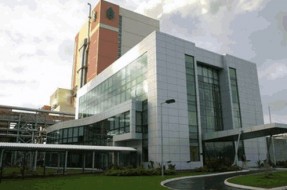 Imagen:Celco Valdivia | plantavaldivia.cl
