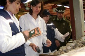 Imagen:Seremi de Salud de Los Lagos