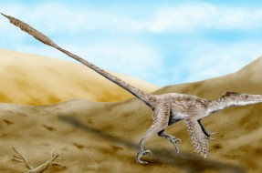 Imagen:Recreación de un Velociraptor | Wikipedia