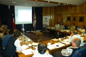 Imagen:José Aedo