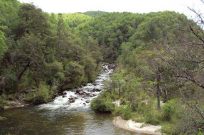 Imagen:Río Picoiquén | Luis Vergara