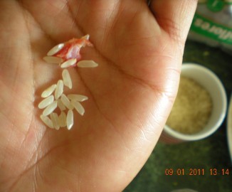 En Concepción encuentran extraño elemento en arroz Miraflores En Concepción encuentran extraño elemento en arroz Miraflores