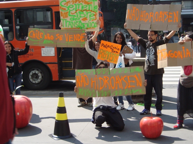Manifestación contra Hidroaysen en Sao Paulo | Diego Castiilo