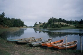 Imagen:Lago Budi | Lagobudi.cl