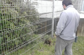 Imagen:Temuco | Carlos Martinez (RBB)