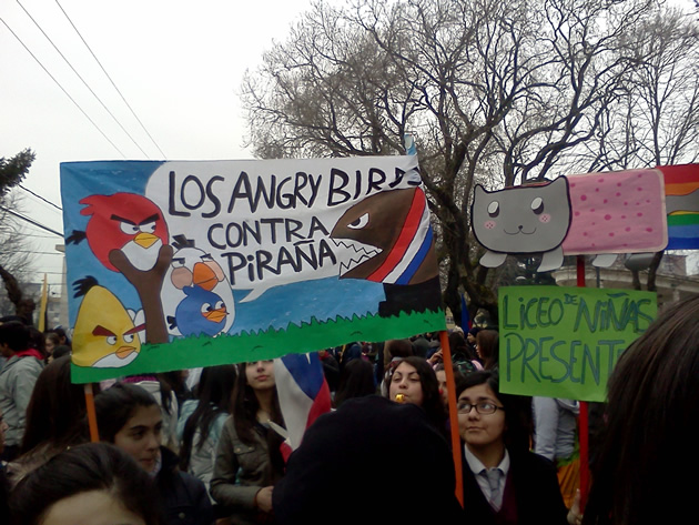 Angry Birds y Nyan Cat en Concepción | Christian Leal
