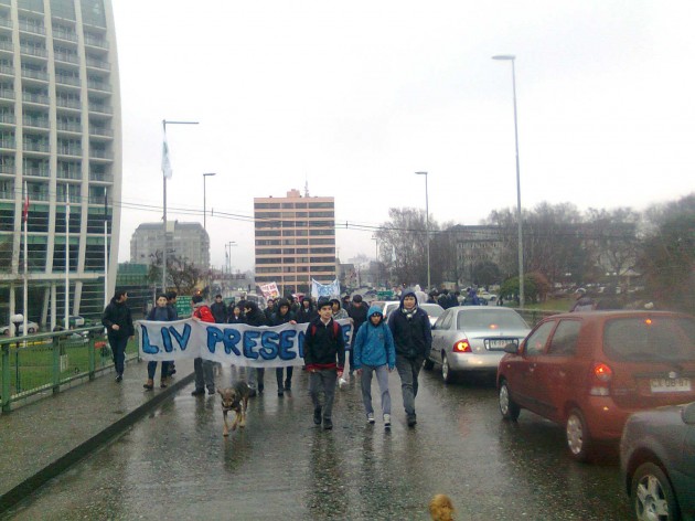 Marcha en Valdivia | Carlos López (RBB)