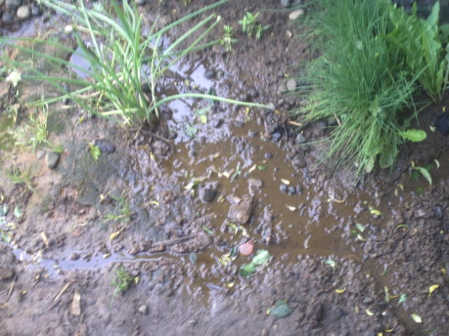 Vertiente en los patios | Cristian Guerrero