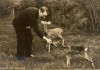 Hitler junto a unos venados