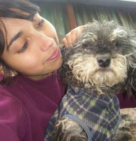 Busco perrita mestiza poodle perdida en La Pintana | Natalia Muñoz Castillo Busco perrita mestiza poodle perdida en La Pintana | Natalia Muñoz Castillo