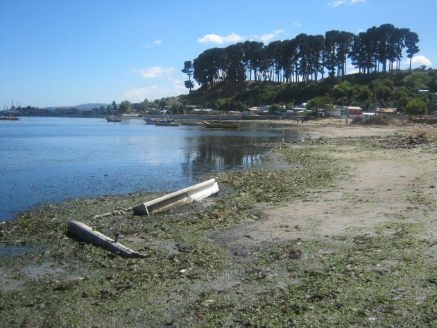 Antonio Monsalve Antonio Monsalve