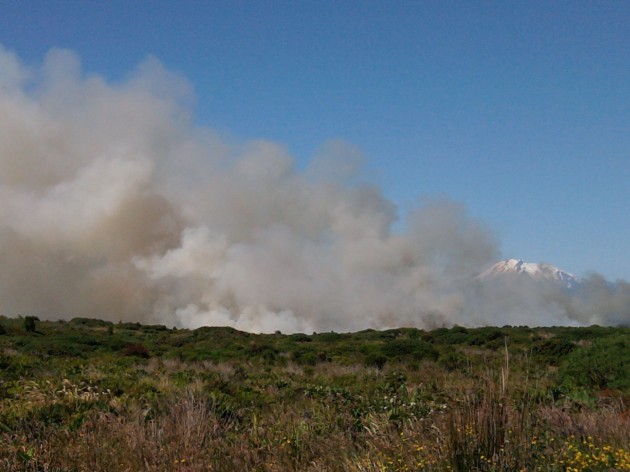 Incendio de matorrales en Puerto Montt | Mauricio Baeza 