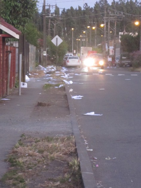 San Pedro de La Paz | Carolina Puchi San Pedro de La Paz | Carolina Puchi