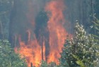 Dos helicópteros y maquinaria pesada combaten incendios forestales en Puerto Montt Dos helicópteros y maquinaria pesada combaten incendios forestales en Puerto Montt