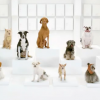 Ingenioso comercial que muestra a coro de perros interpretando “Marcha Imperial” arrasa en Youtube Ingenioso comercial que muestra a coro de perros interpretando “Marcha Imperial” arrasa en Youtube