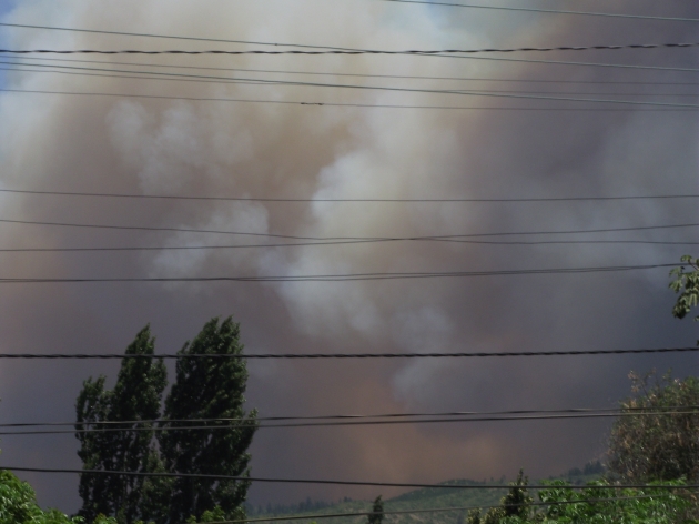 Incendio forestal en Quillón | Pilar Pino