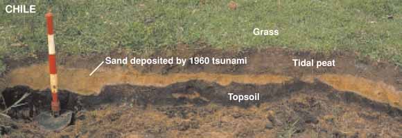 Capa de arena depositada por el tsunami de 1960 | USGS