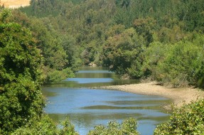 Imagen:Río Loanco | Tomás Jorquera Sepúlveda