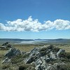 Chileno residente en Falkland Island (Malvinas): La población nunca ha querido ser argentina