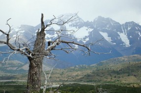 Imagen:Torres del Paine | Consuelo Solar (RBB)