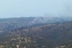 Siniestro destruye un total de 4 cabañas en sector Los Almendros de Reñaca 