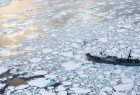 Científicos detectan presencia de Dioxina y gases contaminantes del Cordón Caulle en la Antártica