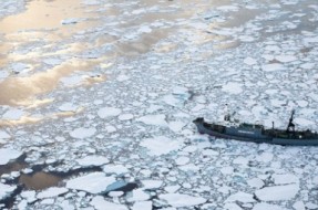 Imagen:Archivo | Sea Shepherd