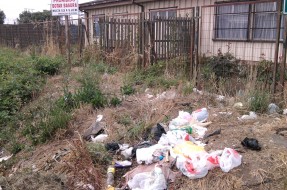 Imagen:Microbasurales en Victoria | Juan Artigas