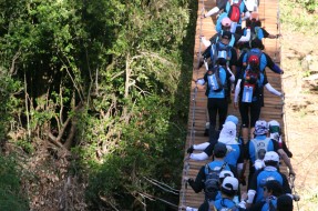 Imagen:Prensa El Cruce Columbia
