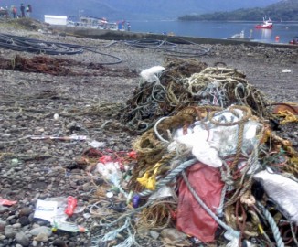 Denuncian que empresas salmoneras contaminan playa El Cobre en Hornopirén