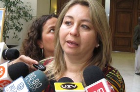 Imagen:Diputada Marisol Turres | Archivo BioBioChile