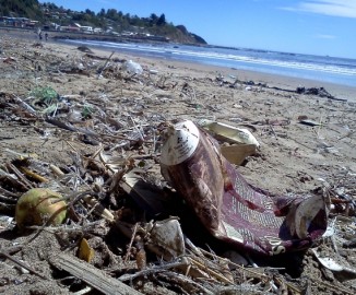 Basural en alrededores de Playa Blanca muestra descuido de turistas que llegan hasta Lota