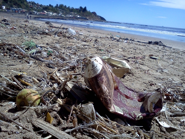 basura en Playa Blanca sector Lota | Hedson Diaz