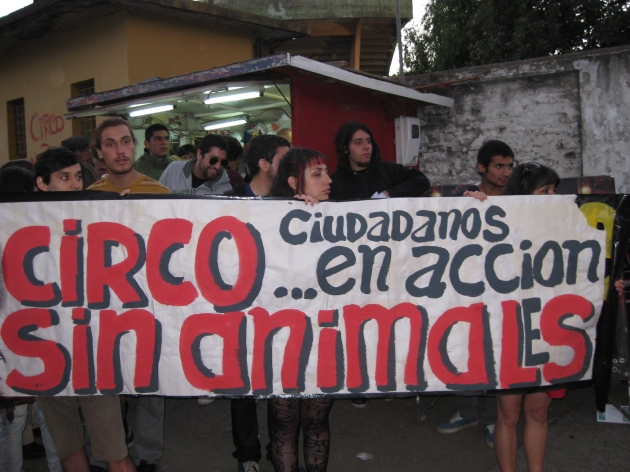 circos sin animales!!!abajo los tachuela!por trafico y maltrato animal | camila arenas