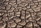 Gobierno Regional de La Araucanía solicita declarar 11 comunas como zona de emergencia agrícola