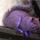 Conoce misteriosa ardilla violeta que enloquece a internautas en EEUU