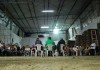 Henrique Eduardo Alves (CC)