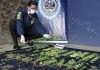 [audio:/2012/03/DROGA-PLANTA.jpg]
