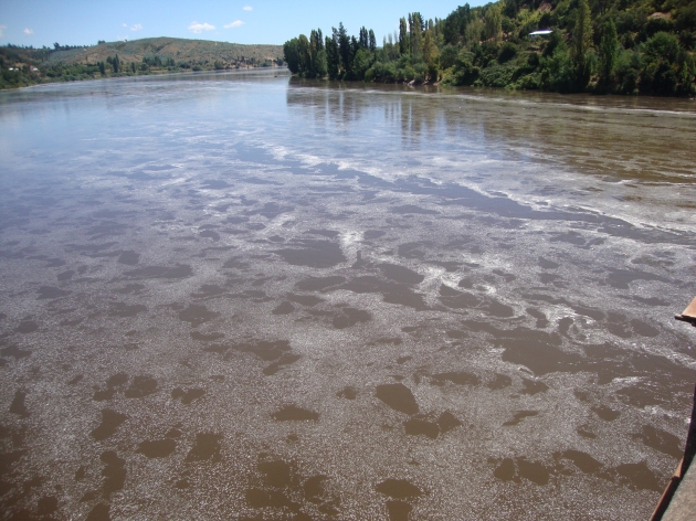 Impactante contaminación en río Itata. | Edgardo Bahamondes
