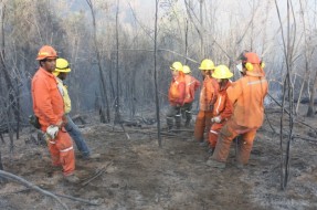 Imagen:Lugar del incendio | Archivo
