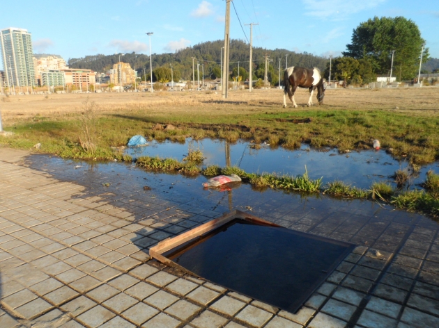 Malas condiciones del Parque Bicentenario Concepción | Cristian Contreras