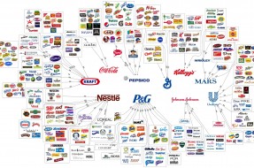 Imagen:Fuente | Convergencealimentaire.info