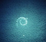 Imagen: Vista aérea de red de burbujas | J. Olson 