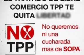 Imagen:ONG Derechos Digitales