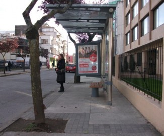 Calles de Concepción: ¿Son aptas para el tránsito normal de una persona en silla de ruedas?