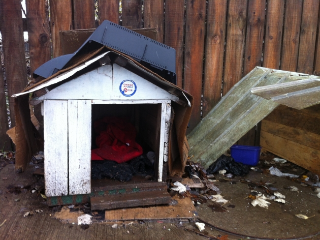 Casa de perritos abandonados presente en Censo 2012 | Felipe Pino
