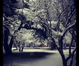 Intensas nevadas cubren Punta Arenas