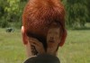 Corte de pelo | Eurosport