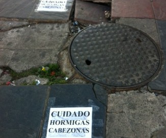 Particular señalización advierte sobre “hormigas cabezonas” previo al 21 de mayo frente al Congreso 