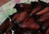 Piñones | Hernán Díaz (RBB)